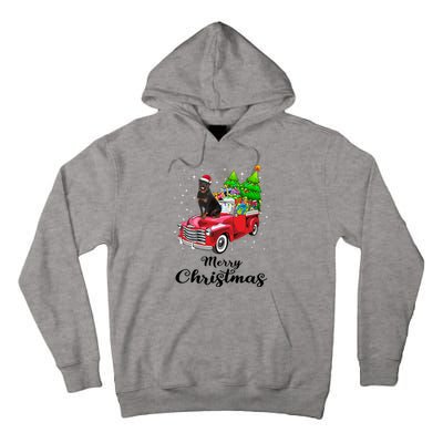 Rottweiler Ride Red Truck Christmas Pajama Gift Tall Hoodie