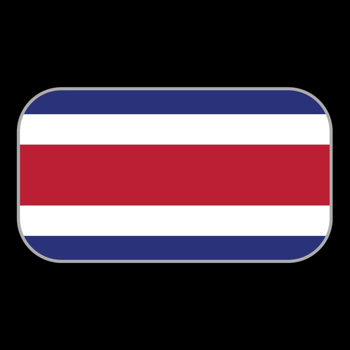 Rosta Rica Soccer Team 2022 World Cup Costa Rican Flag Backpack