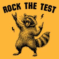 Racoon Rock The Test Teacher Test Day Testing Day Teacher Baby Bodysuit