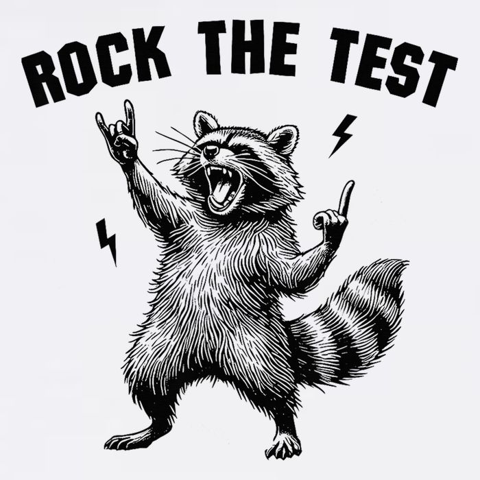 Racoon Rock The Test Teacher Test Day Testing Day Teacher Garment-Dyed Sweatshirt