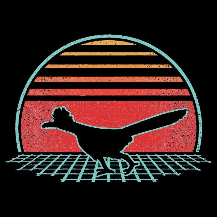 Roadrunner Retro Vintage 80s Style Animal Lover Gift Toddler Hoodie