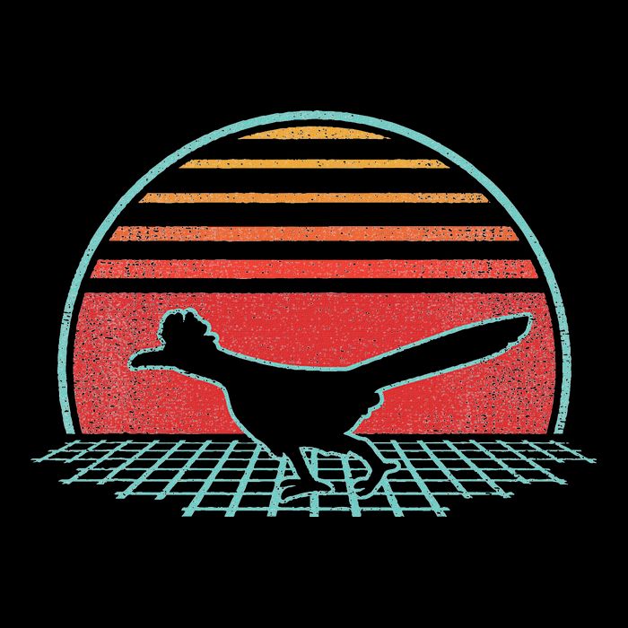 Roadrunner Retro Vintage 80s Style Animal Lover Gift Womens Tank Top