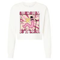 Retro Sandovals A Liar Worm With A Mustache Cropped Pullover Crew