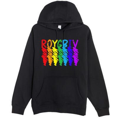 Roygbiv Sketchy Art Teacher Artist Painter Painting Premium Pullover Hoodie