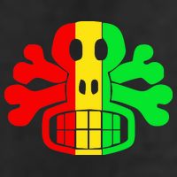 RASTA SKULL AND CROSSBONES Reggae Dub Club Rave Adult Drive Performance Visor