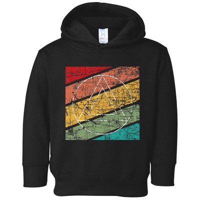 Retro Sobriety Anniversary Sober Aa Na Recovery Toddler Hoodie