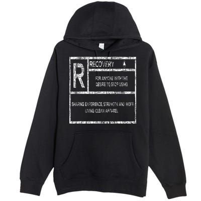 Recovery Sobriety Anniversary Sober Aa Na Premium Pullover Hoodie