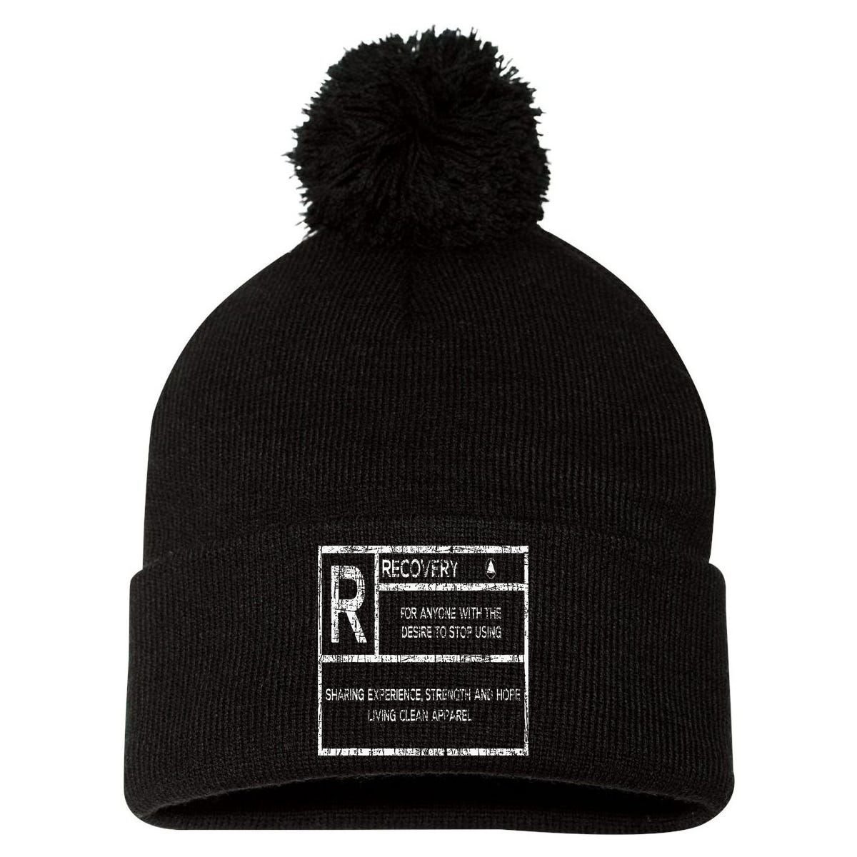 Recovery Sobriety Anniversary Sober Aa Na Pom Pom 12in Knit Beanie