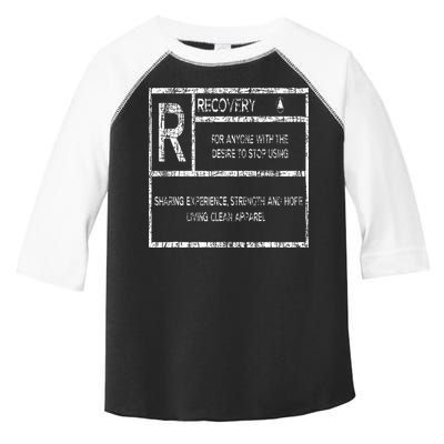 Recovery Sobriety Anniversary Sober Aa Na Toddler Fine Jersey T-Shirt