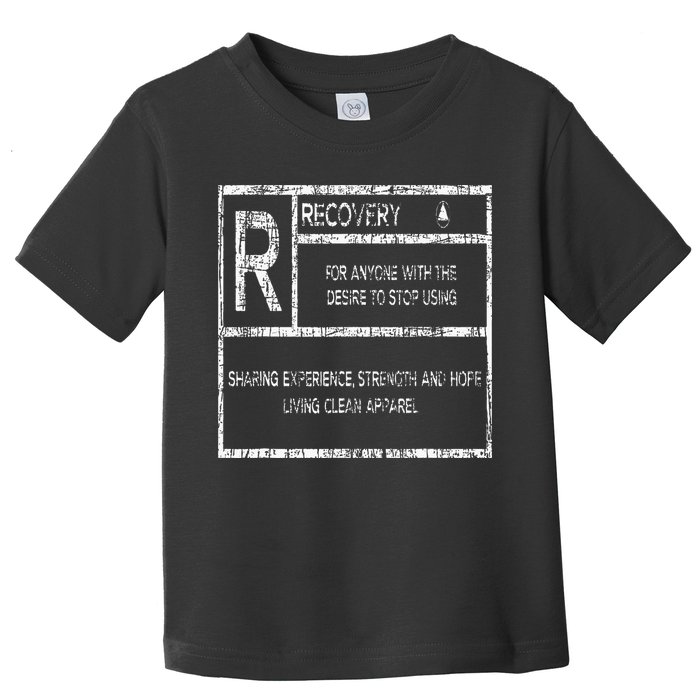 Recovery Sobriety Anniversary Sober Aa Na Toddler T-Shirt