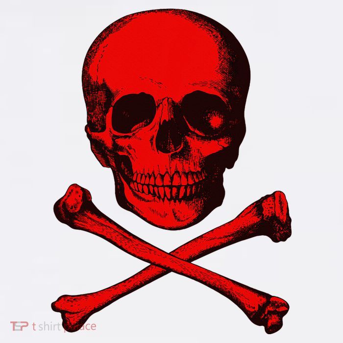 Red Skull And Crossbones Wool Snapback Cap