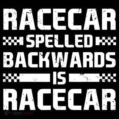 Racecar Spelled Backwards Is Racecar T-Shirt