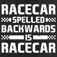 Racecar Spelled Backwards Is Racecar Adult Drive Performance Visor