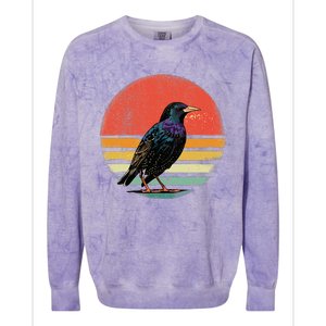 Retro Starling Bird Animal Birdwatcher Bird Lover Colorblast Crewneck Sweatshirt