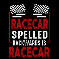 Racecar Spelled Backwards Funny Car Mechanic Race Car Cooling Performance Crew T-Shirt