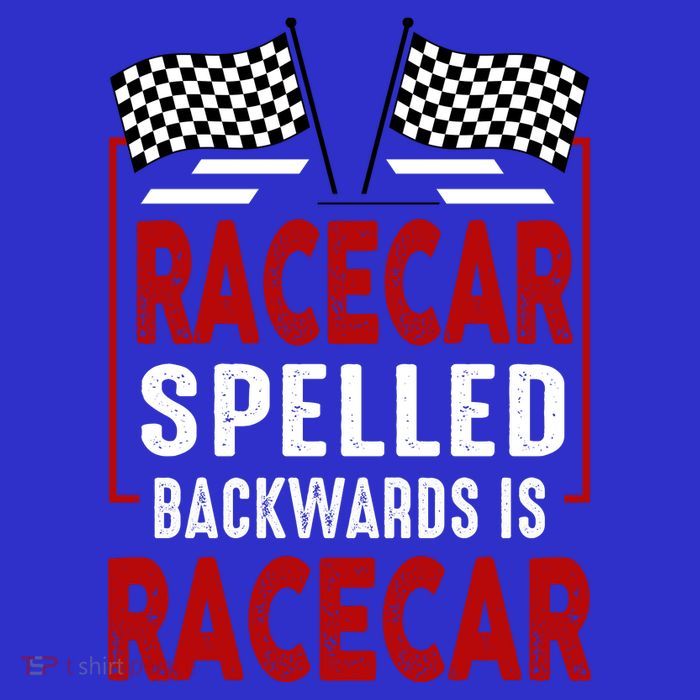 Racecar Spelled Backwards Funny Car Mechanic Race Car Stripe Pom Pom Beanie