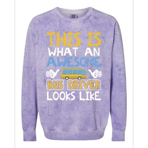 Retro School Bus Driver Graphic Gift School Bus Design Gift Colorblast Crewneck Sweatshirt