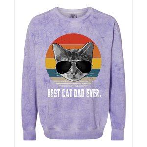 Retro Style Cagift Best Cat Dad Ever Funny Gift Colorblast Crewneck Sweatshirt