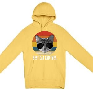 Retro Style Cagift Best Cat Dad Ever Funny Gift Premium Pullover Hoodie