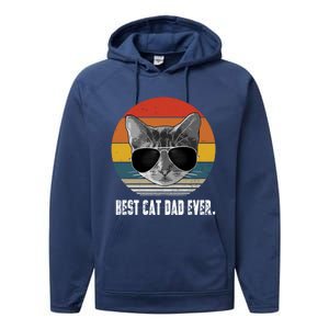 Retro Style Cagift Best Cat Dad Ever Funny Gift Performance Fleece Hoodie