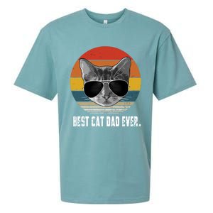 Retro Style Cagift Best Cat Dad Ever Funny Gift Sueded Cloud Jersey T-Shirt