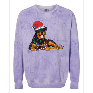 Rottweiler Santa Christmas Lights Xmas Dog Lover Xmas Pajama Colorblast Crewneck Sweatshirt