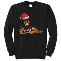 Rottweiler Santa Christmas Lights Xmas Dog Lover Xmas Pajama Sweatshirt