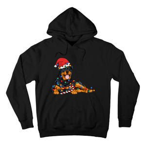 Rottweiler Santa Christmas Lights Xmas Dog Lover Xmas Pajama Tall Hoodie