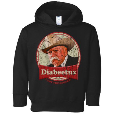 Retro Style Diabeetus I Got The Sugars Toddler Hoodie