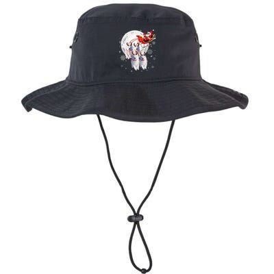 Reindeer Samoyed Dogs Pulling Santa Claus Sleigh Christmas Bucket Hat