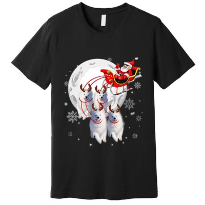 Reindeer Samoyed Dogs Pulling Santa Claus Sleigh Christmas Premium T-Shirt