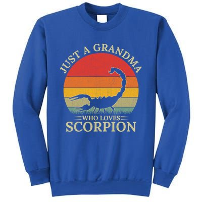 Retro Scorpion Design Just A Grandma Who Loves Scorpion Cute Gift Sweatshirt