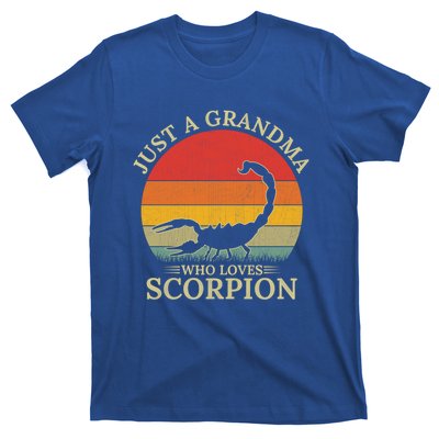 Retro Scorpion Design Just A Grandma Who Loves Scorpion Cute Gift T-Shirt