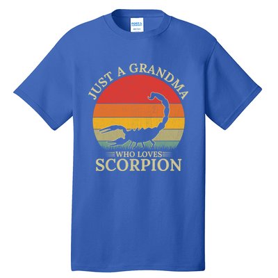 Retro Scorpion Design Just A Grandma Who Loves Scorpion Cute Gift Tall T-Shirt