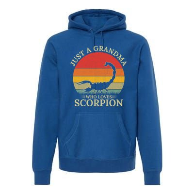 Retro Scorpion Design Just A Grandma Who Loves Scorpion Cute Gift Premium Hoodie