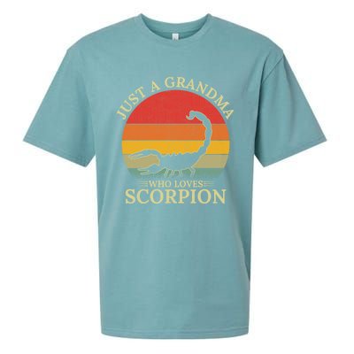 Retro Scorpion Design Just A Grandma Who Loves Scorpion Cute Gift Sueded Cloud Jersey T-Shirt