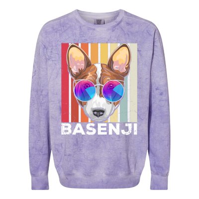 Retro Style Dog Lover Apparel Basenji With Sunglasses Gift Colorblast Crewneck Sweatshirt