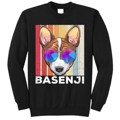 Retro Style Dog Lover Apparel Basenji With Sunglasses Gift Tall Sweatshirt