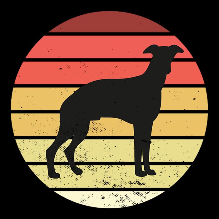 Retro Sunset Dog Lover City Backpack