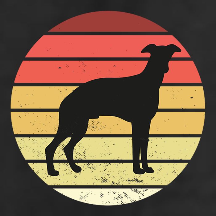 Retro Sunset Dog Lover Adult Drive Performance Visor