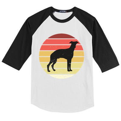Retro Sunset Dog Lover Kids Colorblock Raglan Jersey