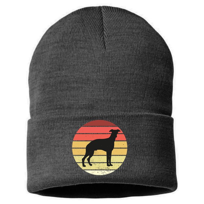 Retro Sunset Dog Lover Sustainable Knit Beanie