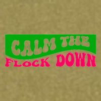 Retro Sassy Flamingo , Calm The Fl Garment-Dyed Women's Muscle Tee