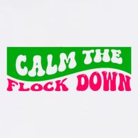 Retro Sassy Flamingo , Calm The Fl Garment-Dyed Sweatshirt