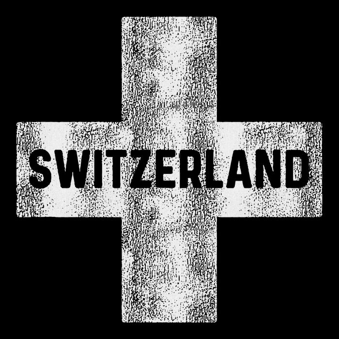 Retro Swiss Flag Of Switzerland Souvenir Gift Pom Pom 12in Knit Beanie