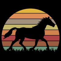 Retro Sunset Horse Button