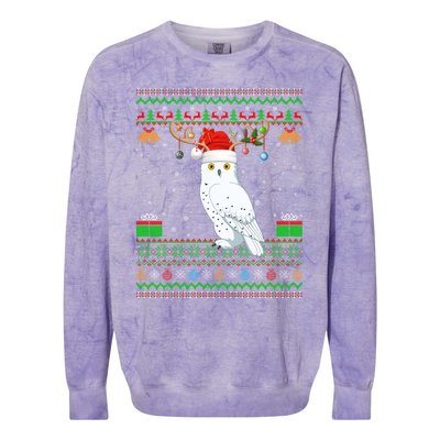 Reindeer Santa Hat Matching Ugly Snowy Owl Bird Christmas Funny Gift Colorblast Crewneck Sweatshirt