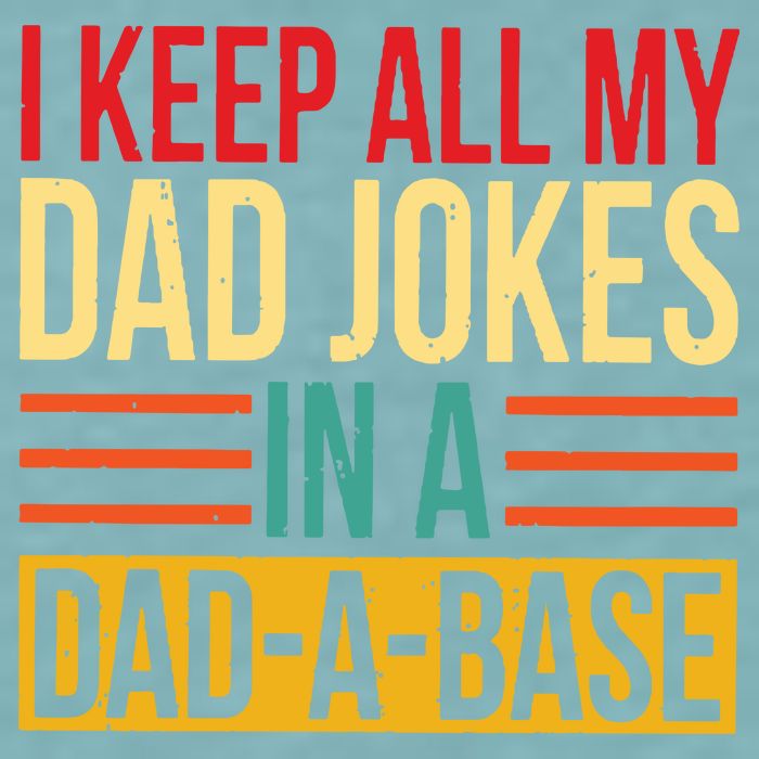 Retro Sayings I Keep All My Dad Jokes In A Dad A Base Sueded Cloud Jersey T-Shirt