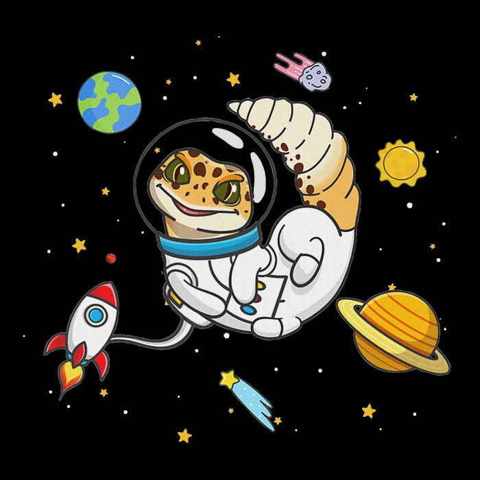 Reptile Space Leopard Gecko Lover Tall T-Shirt