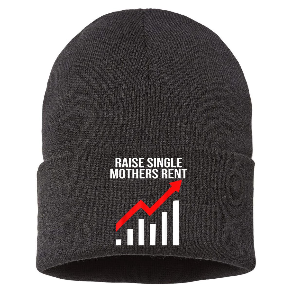 Raise Single Mothers Rent Sustainable Knit Beanie